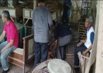 11 Orang Pelaku Judi Sabung Ayam Di Ciganea Digrebek Satreskrim Polres Purwakarta