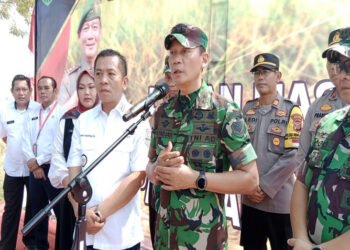 Pangdam III Siliwangi Hadiri Panen Raya Padi jenis Infari di Sindangmukti Kutawaluya Kabupaten Karawang